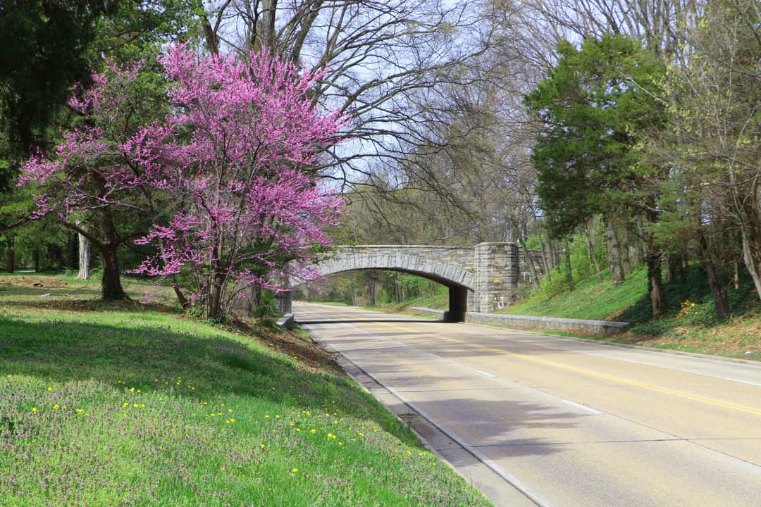 Stone Bridge Along the George Washington Memorial Parkway