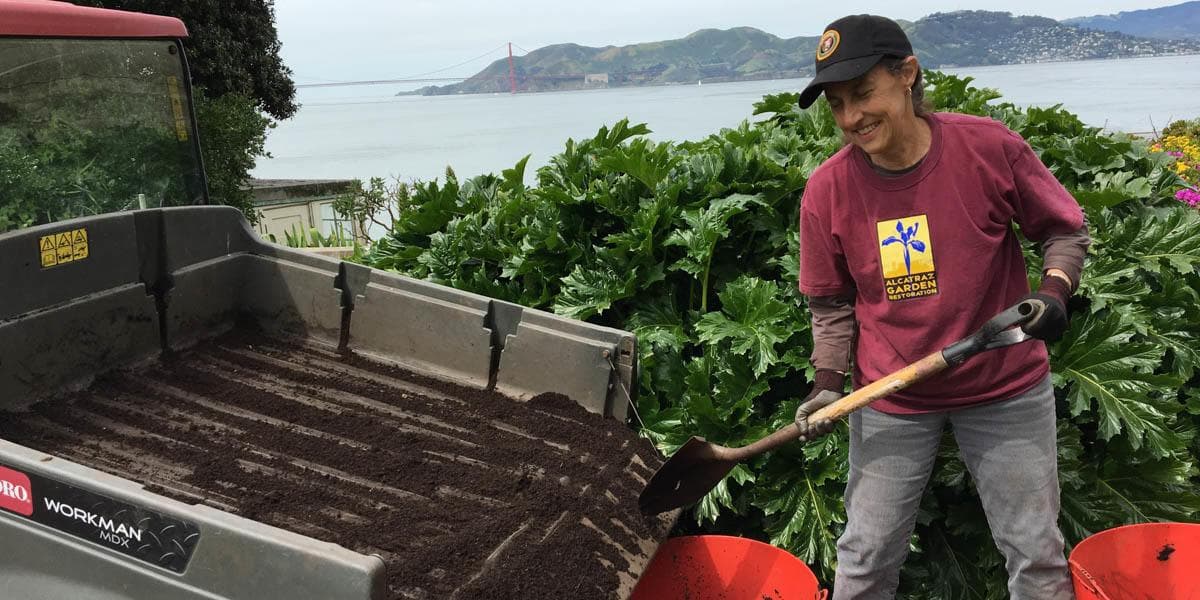 A volunteer on Alcatraz Island shovels dirt into the back of a small truck