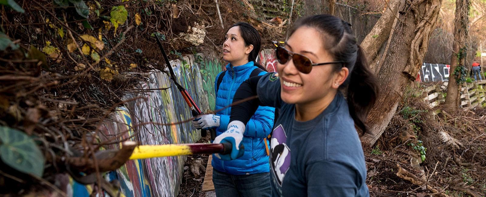 Volunteers working to prune ivy along a wall in the Black Point Historic Gardens